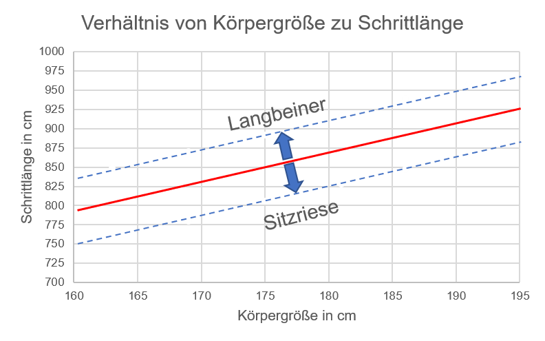 Diagramm_Langbeiner_Sitzriese1.png