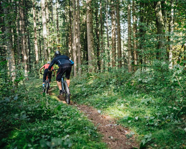 latschacher-trail-lake-bike-region-villach-tourismus-gmbh-martin-hofmann.jpg