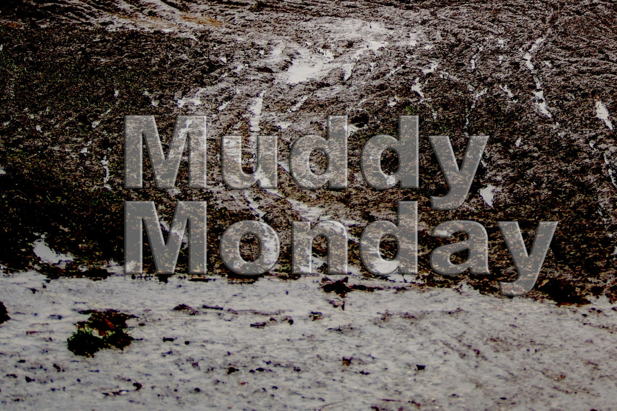 Muddy Monday: Van der Poel macht Zonhoven klar – Klassiker im Visier
