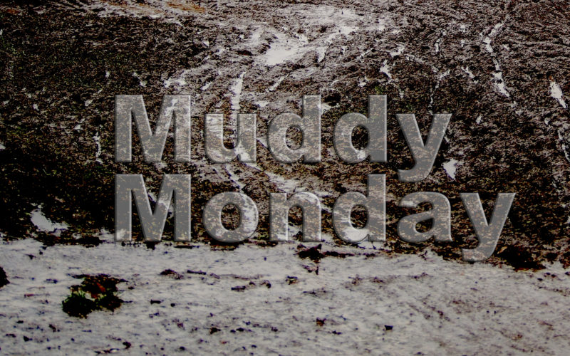 Muddy Monday: Wiederkehr von Wout van Aert
