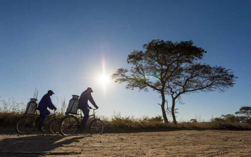 World Bicycle Day 2019: Übersicht über die Initiativen – Räder spenden und Radfahren