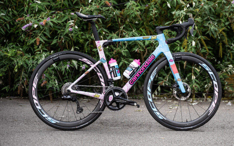Gravel WM 2024 – Arbeitsgeräte: 12 Gravel Bikes der Profis