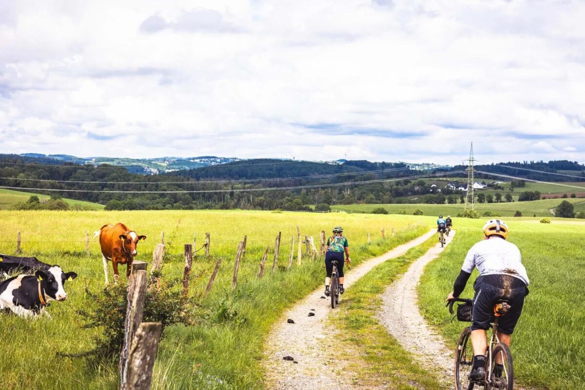 Maxxis Gravel Masters 2025 Winterberg: Anmeldung für Gravel-Weekender geöffnet
